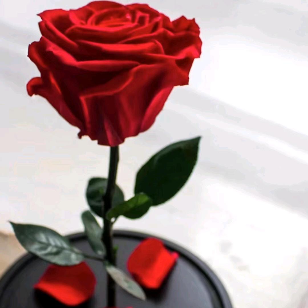 h di du d h h