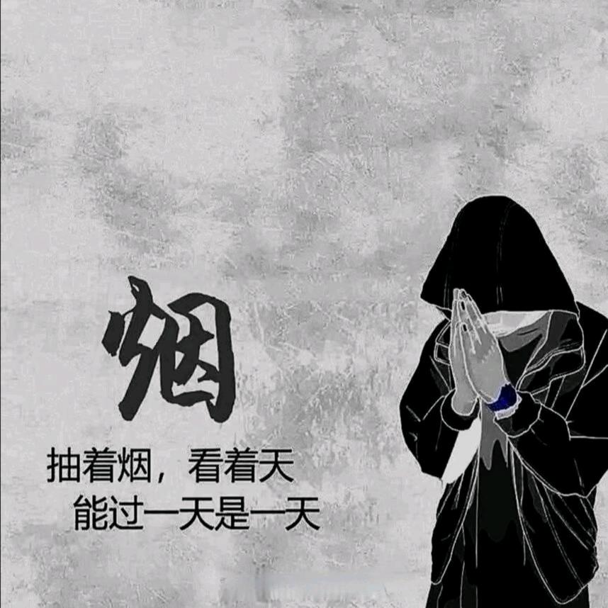 洋芋    🤓