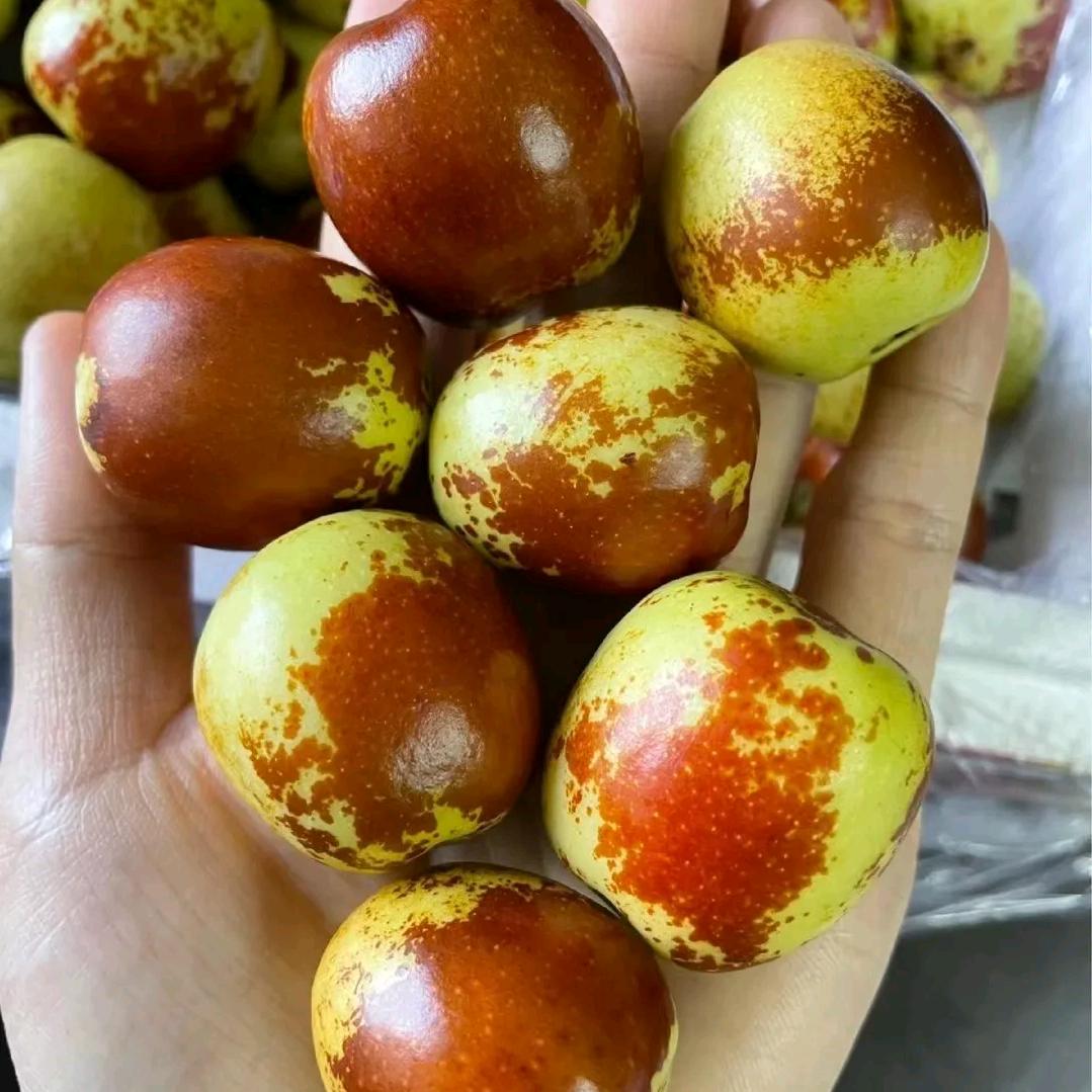 红枣王，和田市水果市场👧新李鲜果批发中