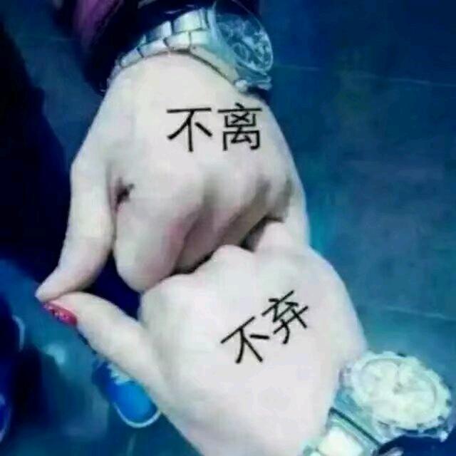珊珊来迟