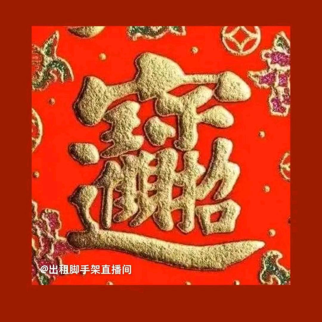 🐺出租脚手架，狼2