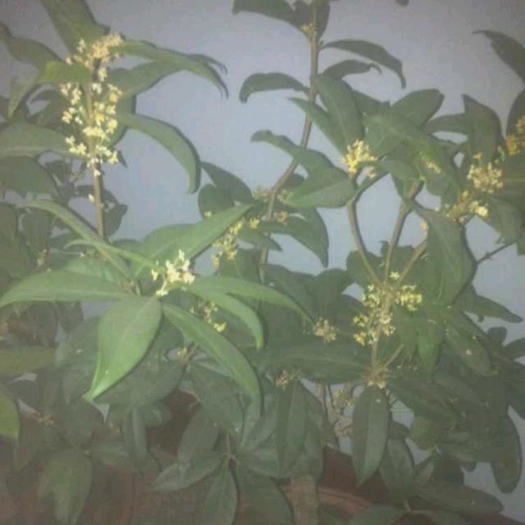 平凡一生。。。