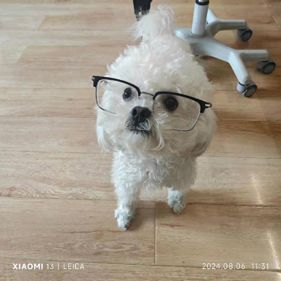 幸福快乐每一天