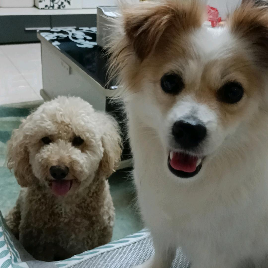 豆小姐&十七仔