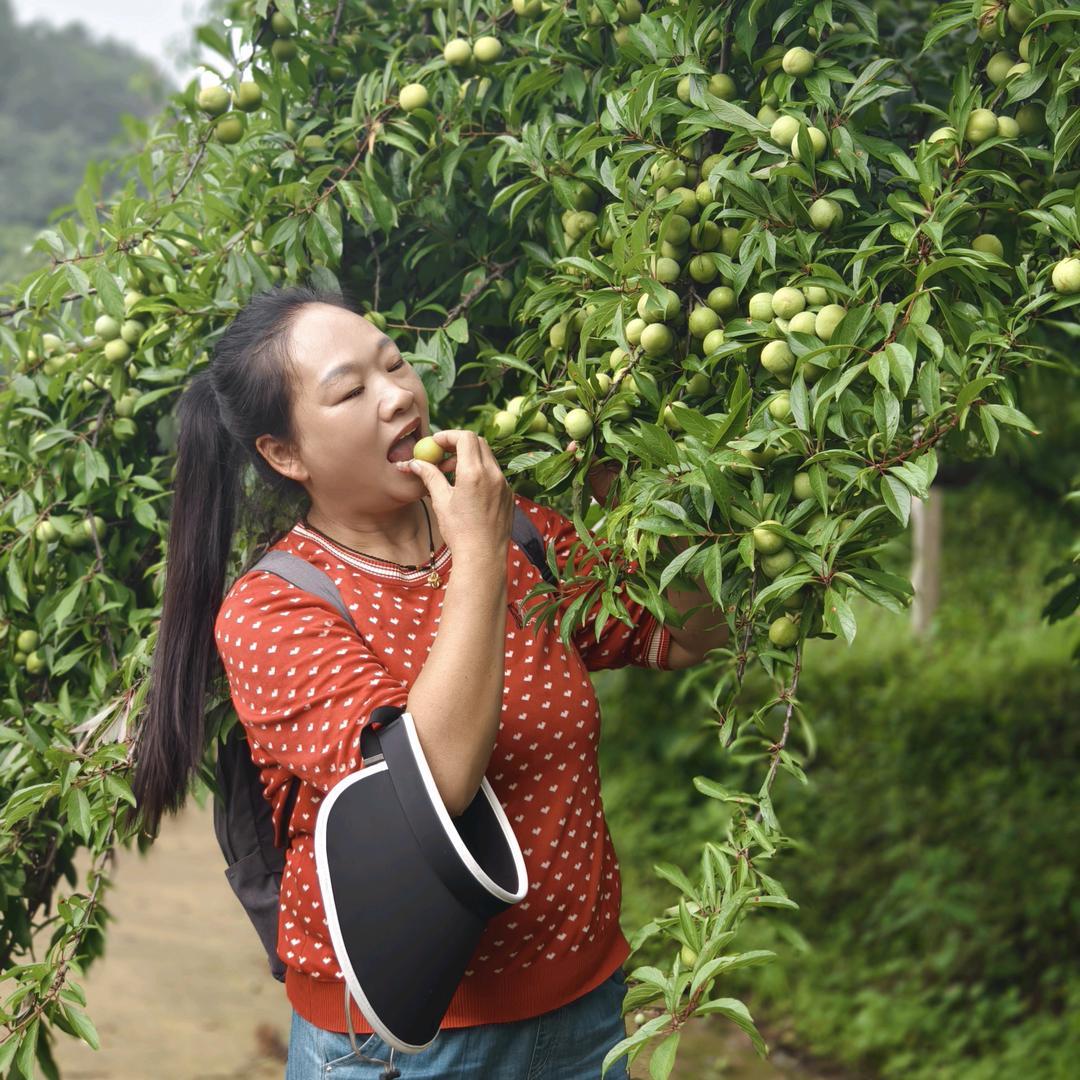 蔡晴贵州特产