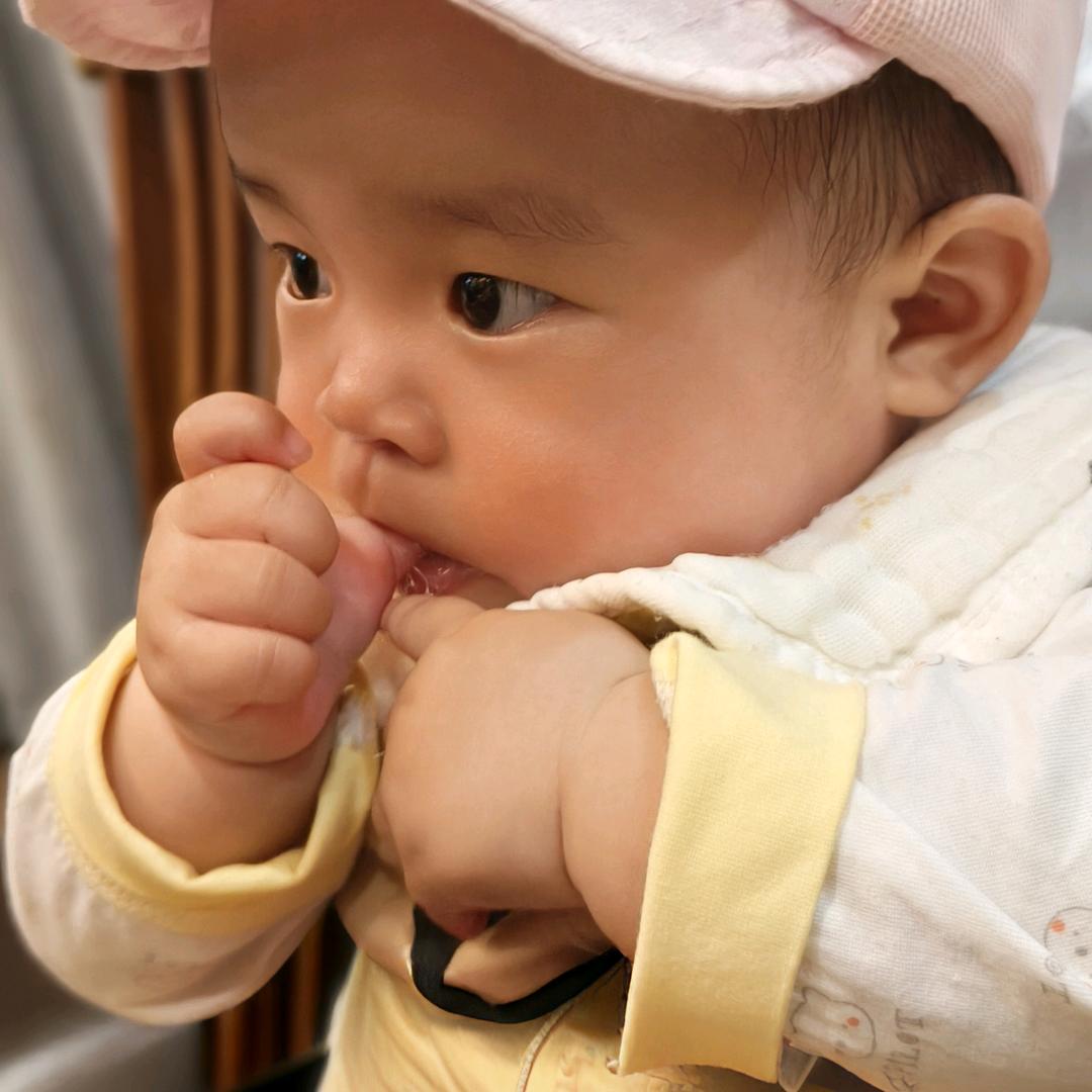 叶落知秋