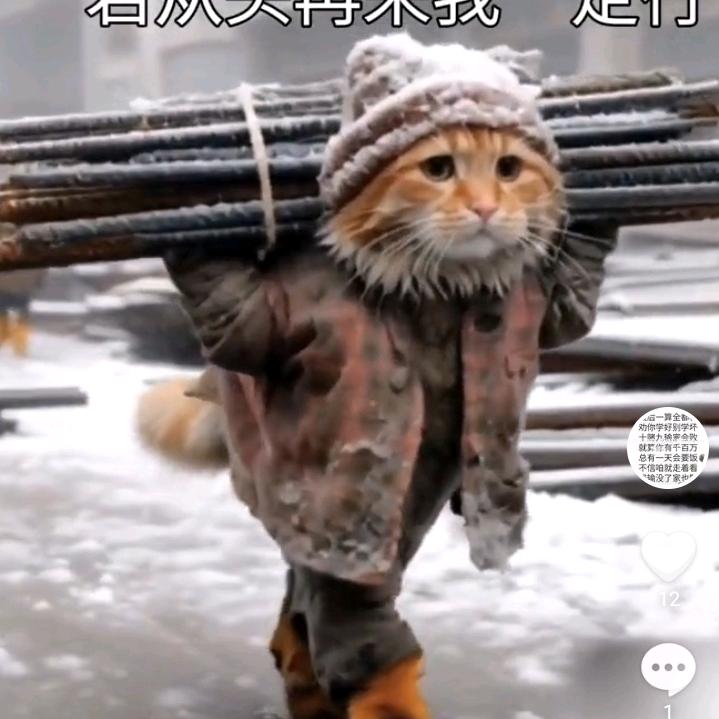 呵呵呵