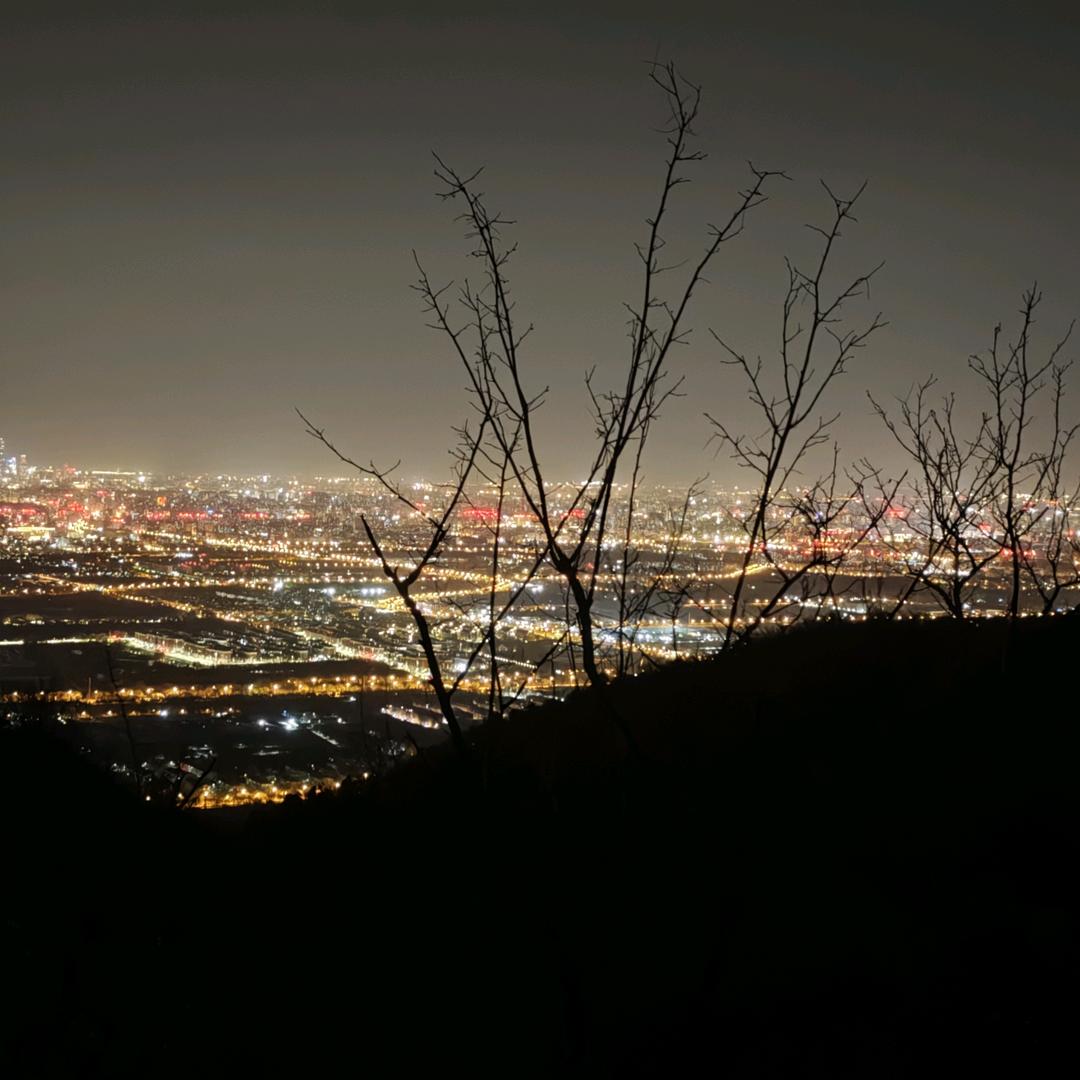 不知道叫啥名啊