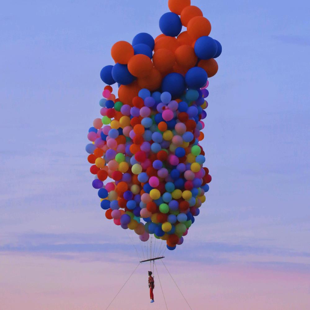 无名小花·快乐小狗