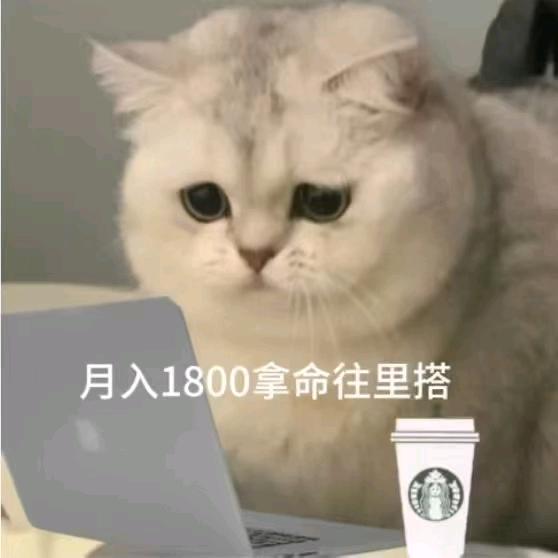 A宁波娱乐管家小郑