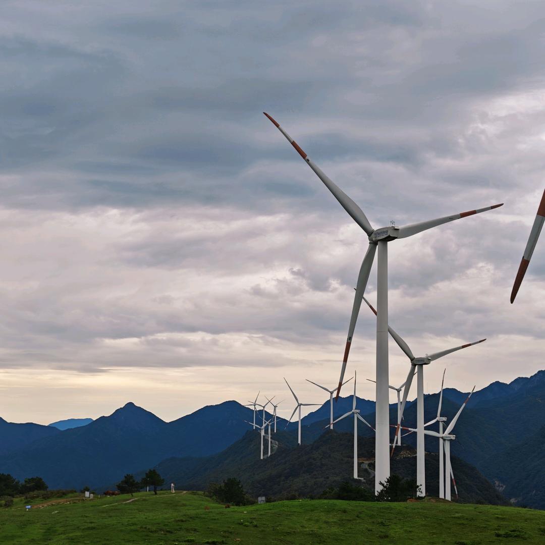 @“大大怪将军”*