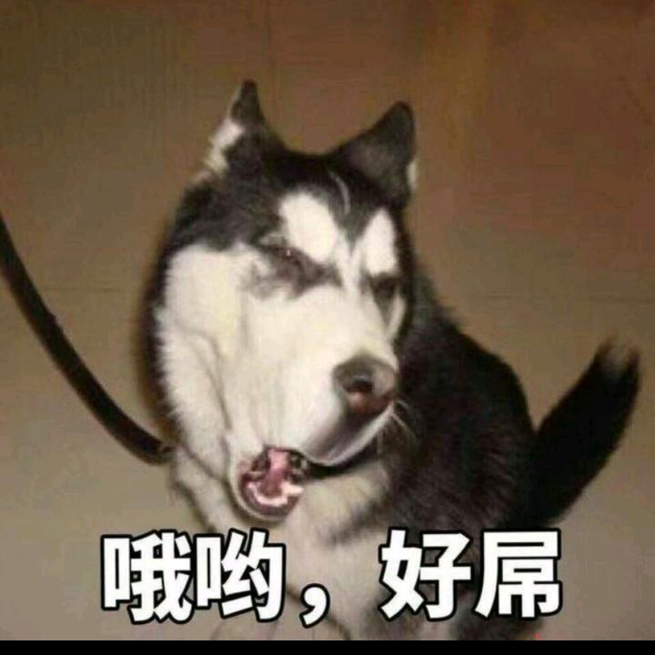 ☞凯哥☜
