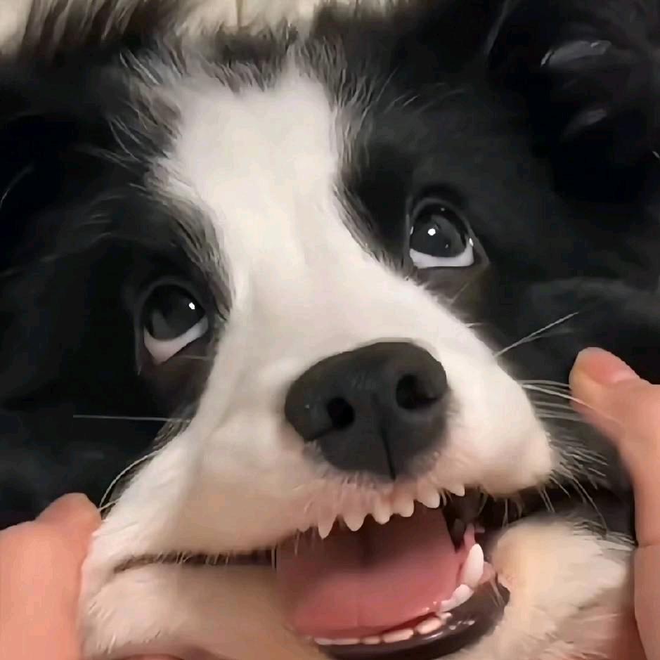 下丘