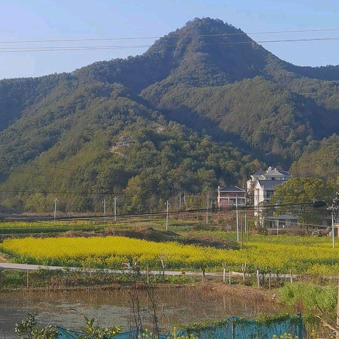 小彩（成人 儿童面部彩绘）