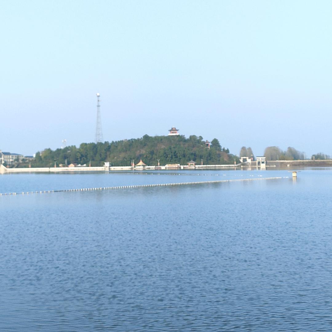 五斗米