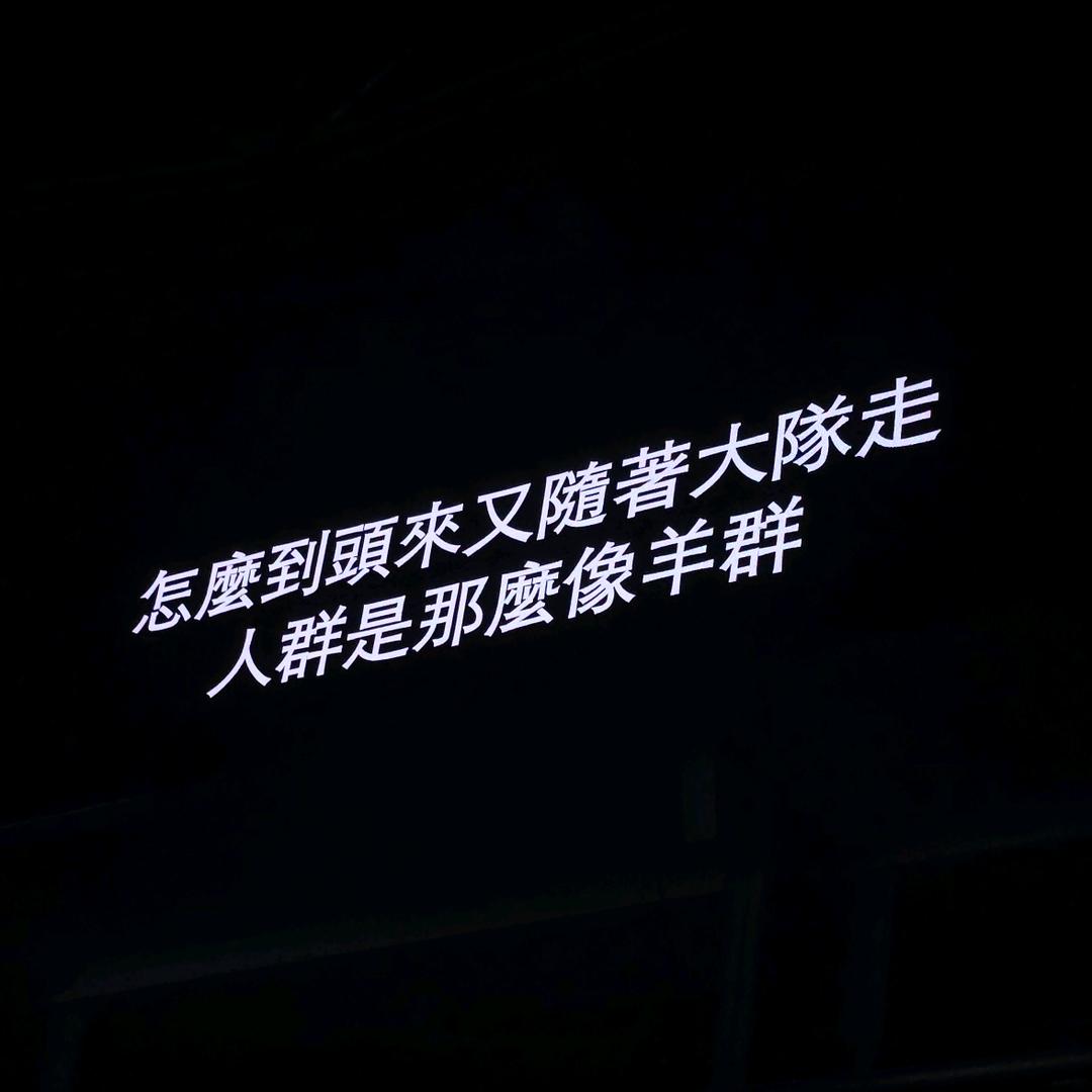 邦尼兔