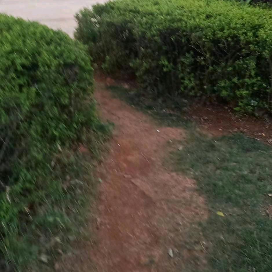 雨中漫步