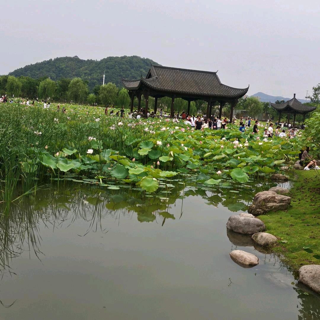 将心比心 (小号)