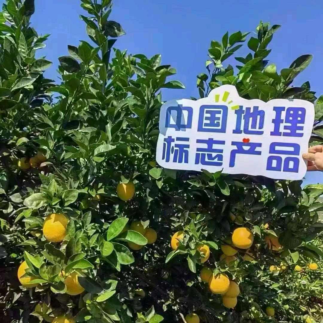 宁都阿斌