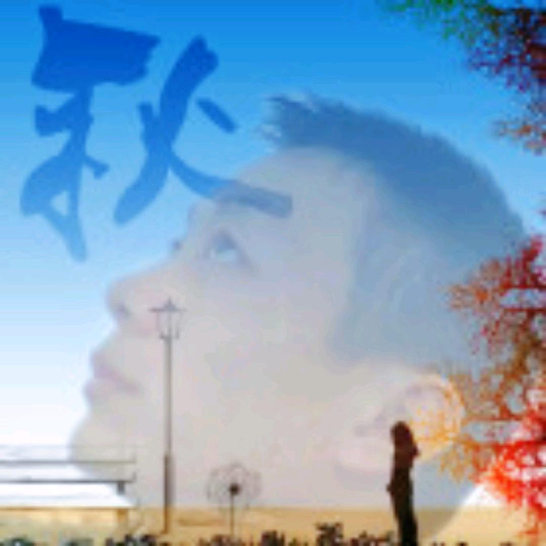 零落一身秋