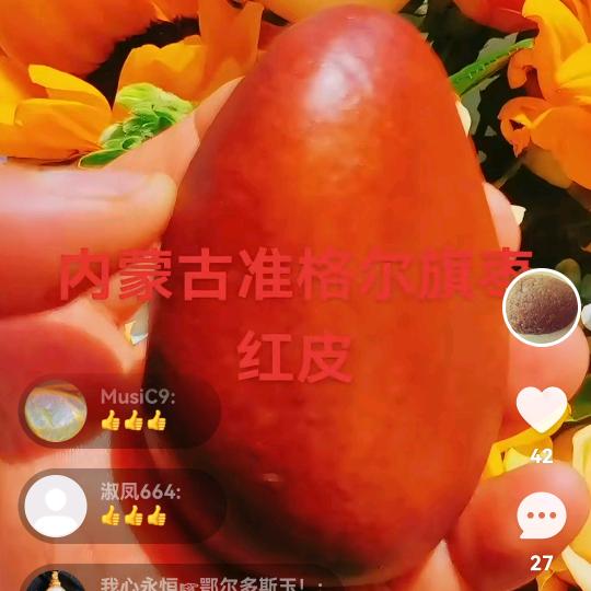顽石蛋