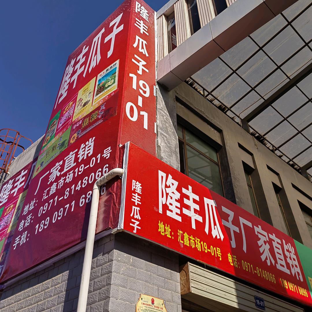 爱嗑瓜子的女战士