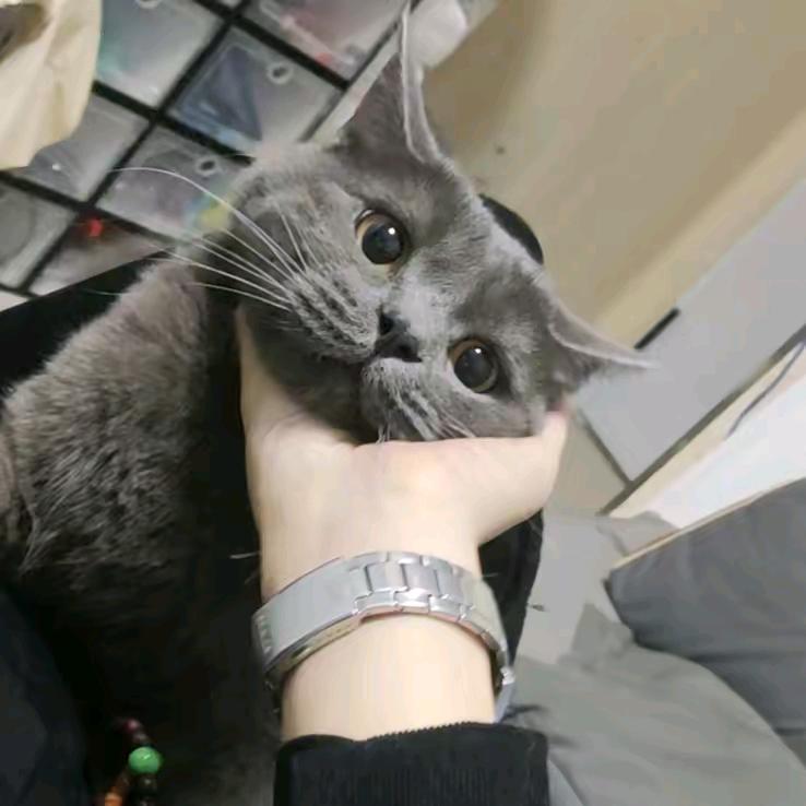 直球式设计阿旭