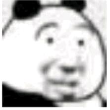 飞向更远的天空