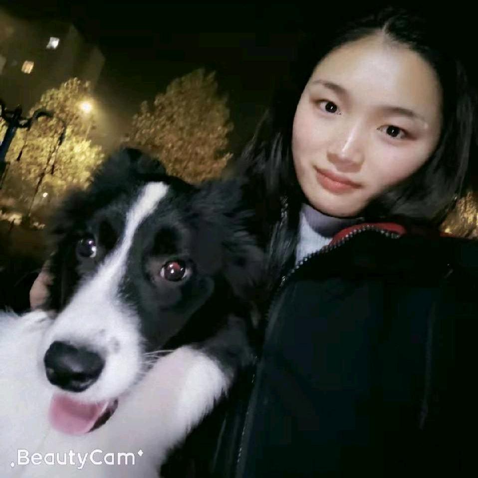 ai,豆豆