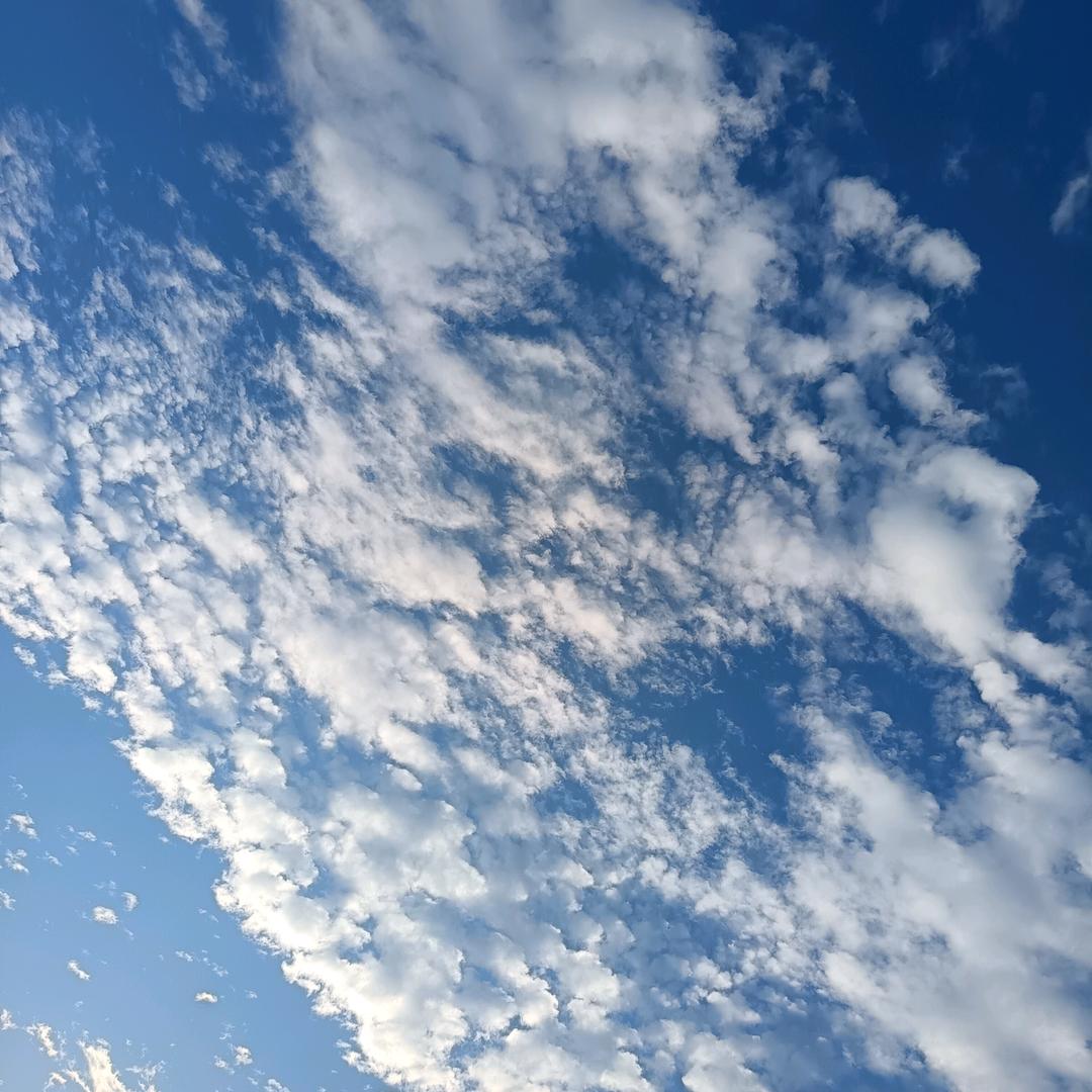 放良