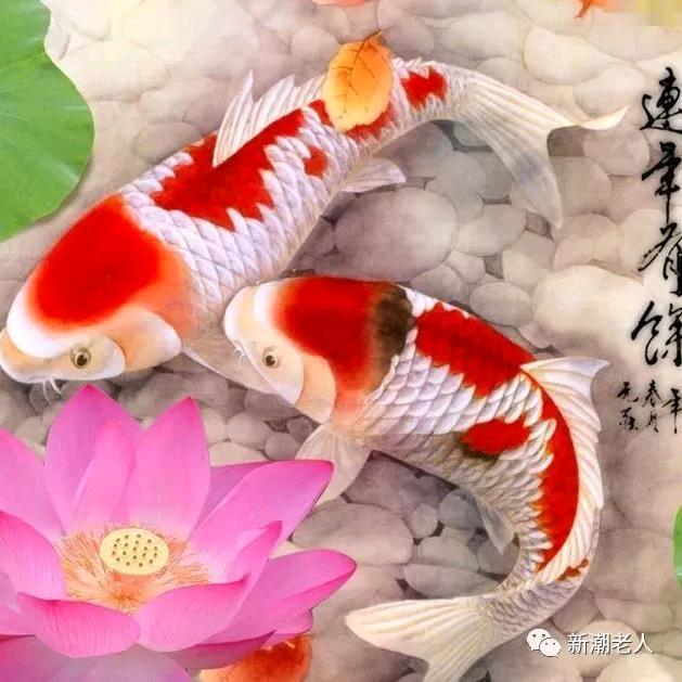 紫薇花开(*^ω^*)