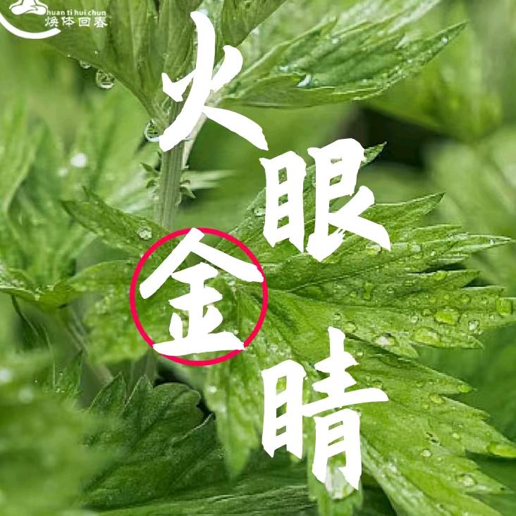 焕体回春火眼金睛推荐官