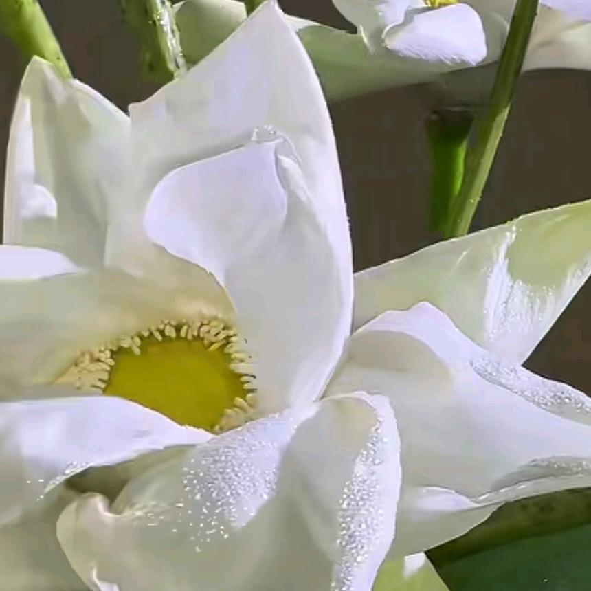 图文与广告并肩一线