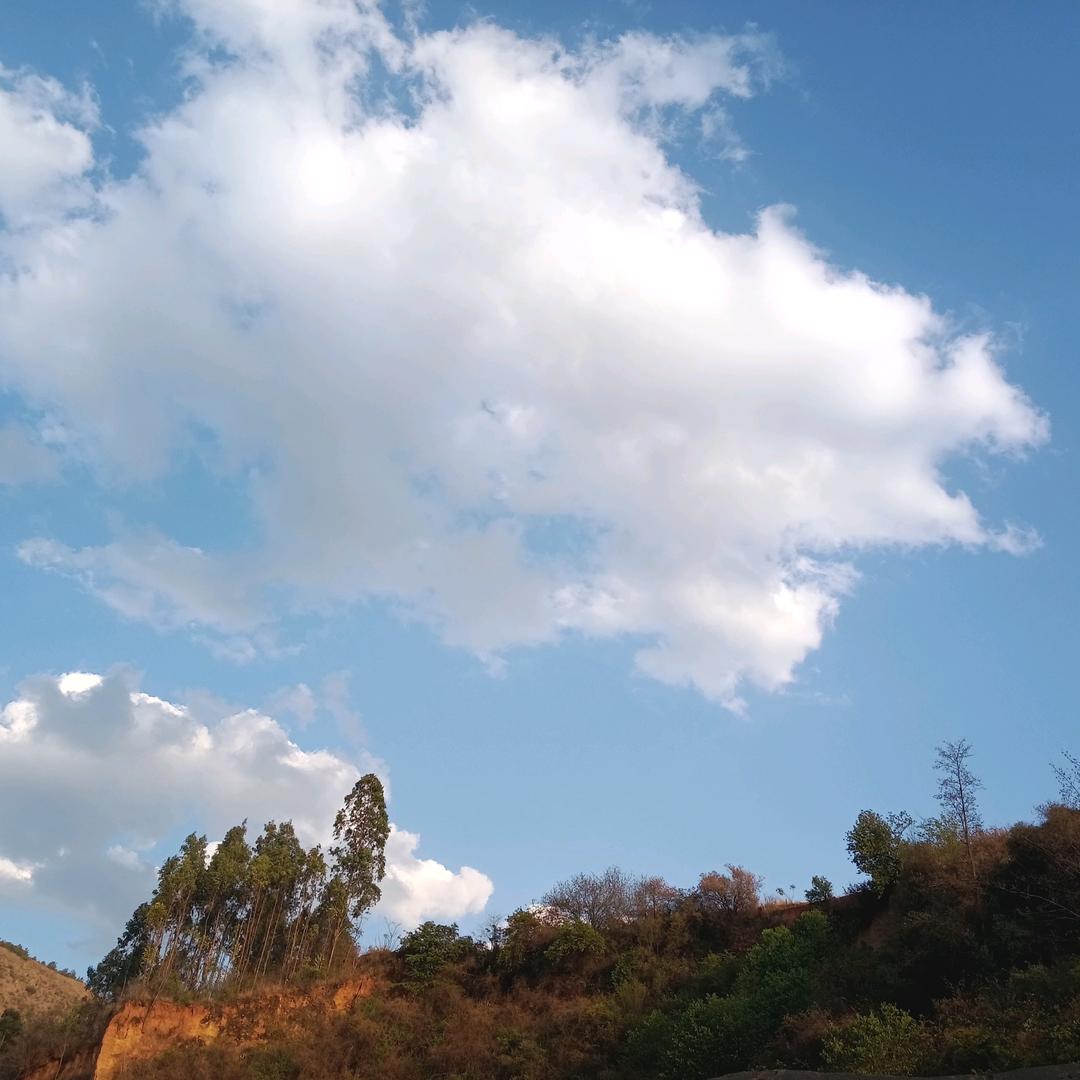 一切尽在不言中