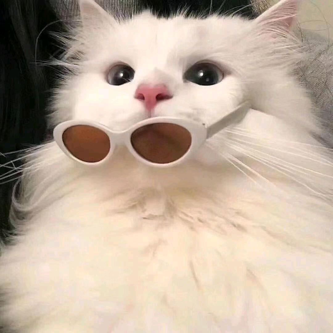 竹心暖