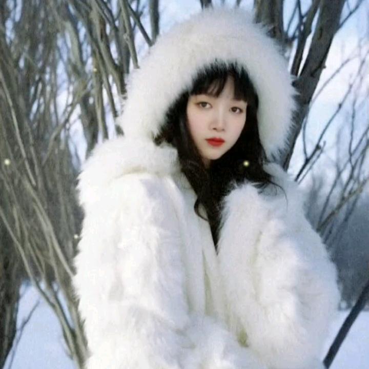 莲姐