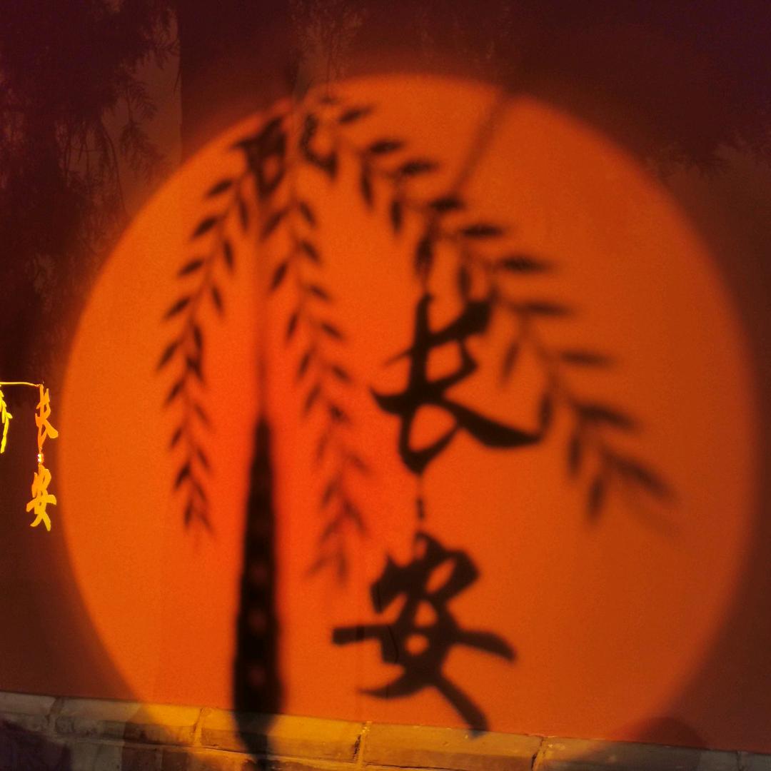 世俗视野