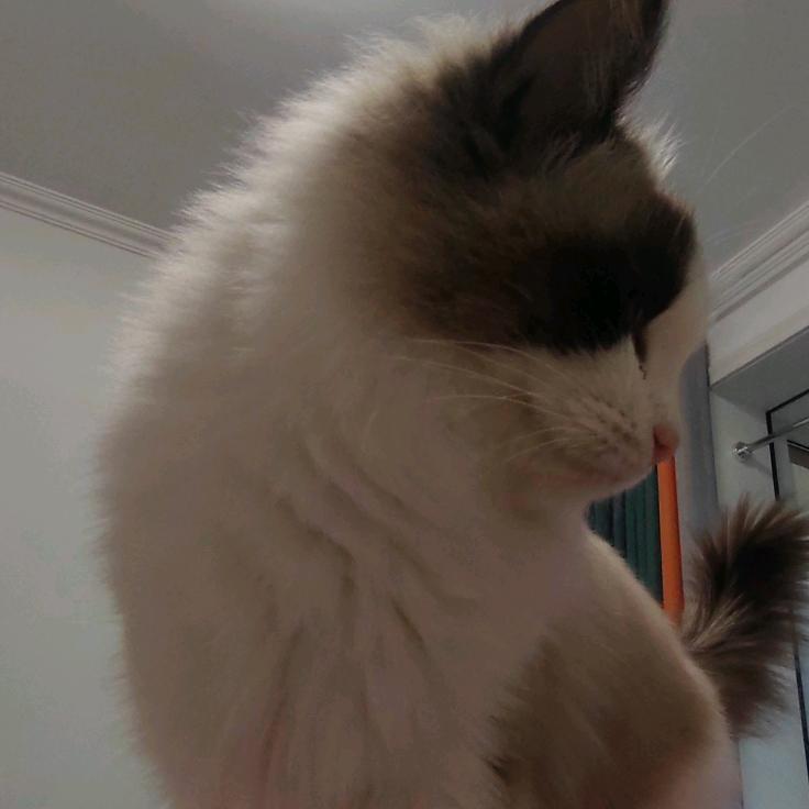 十万个为什么🤔