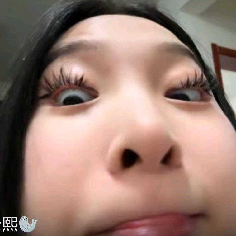 发条兔模型屋