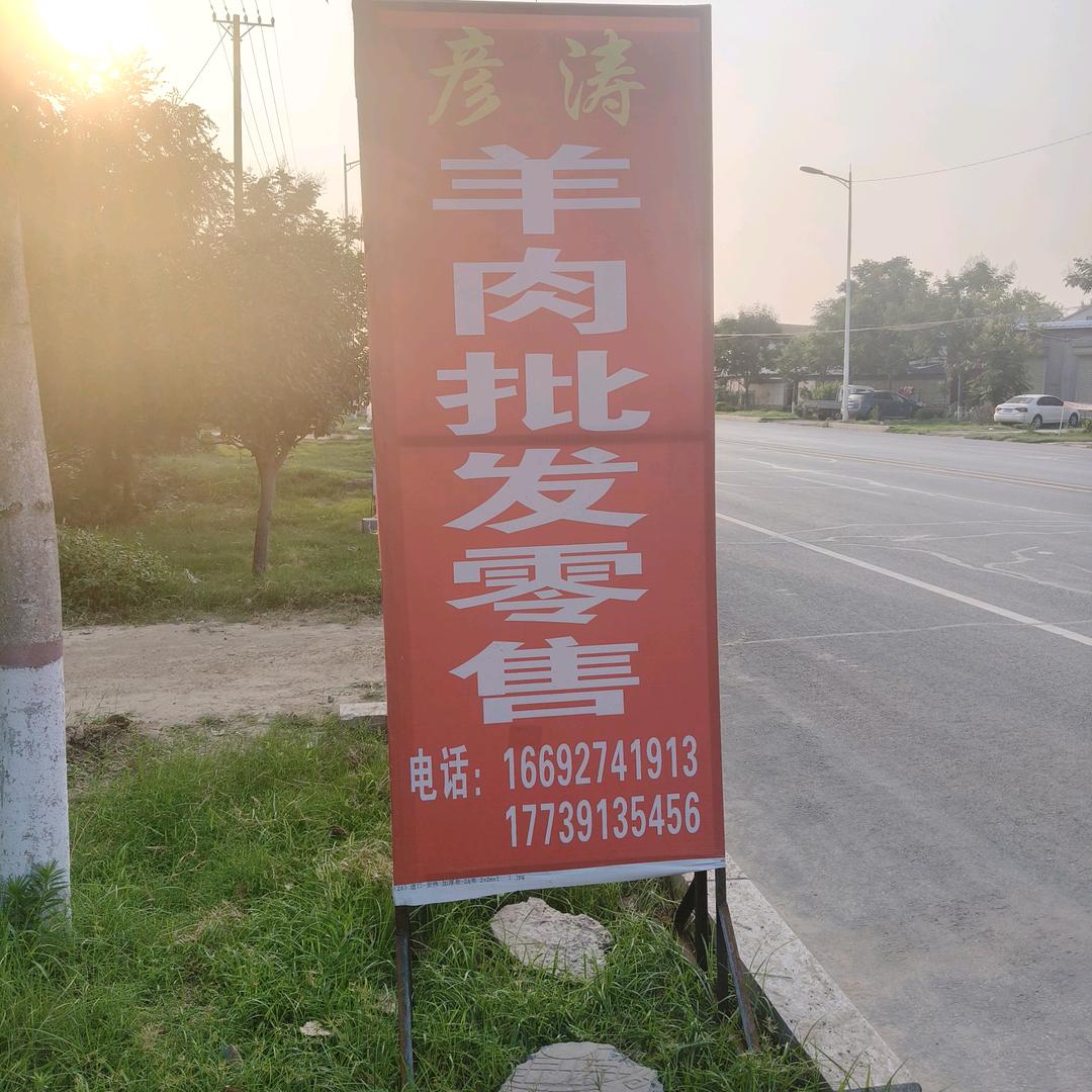 彦涛活羊买卖羊肉羊杂批发
