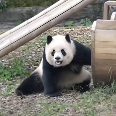 和光同尘