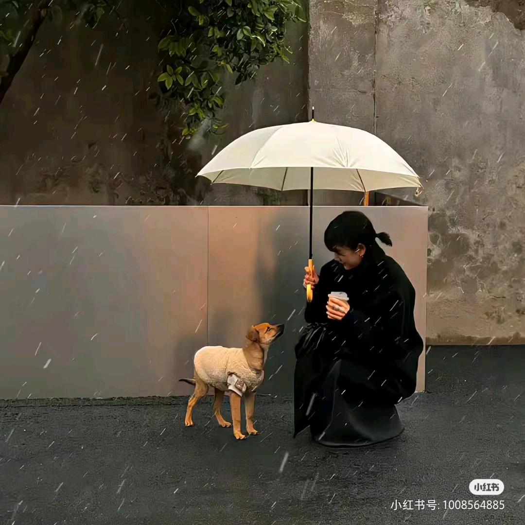 一束茶.