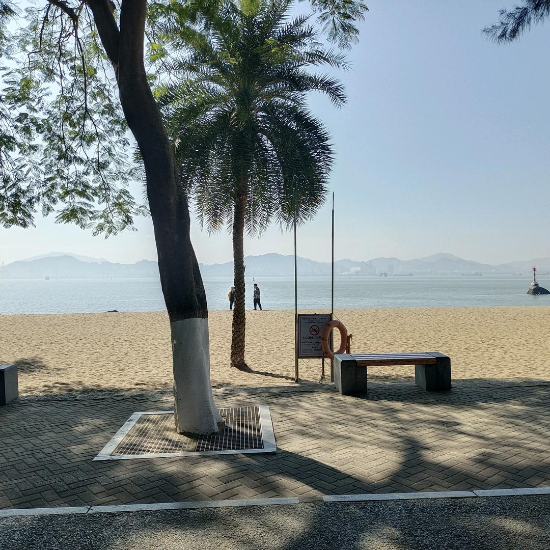 幸运鑫