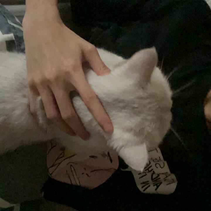 San头像