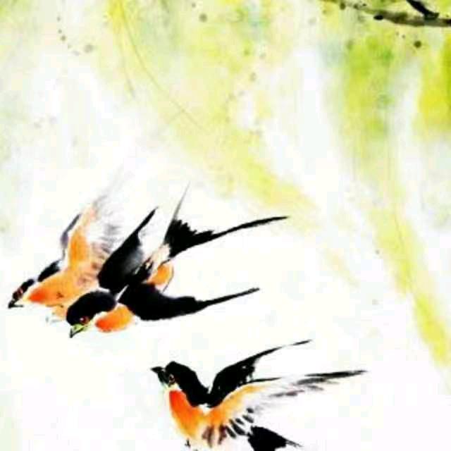 一轮明月，明月几时有头像