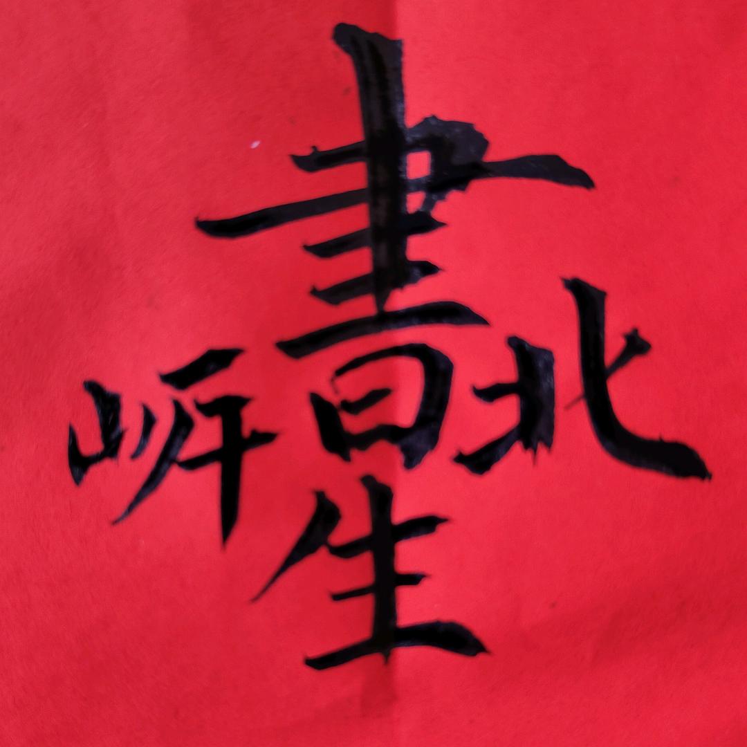 北岸书生