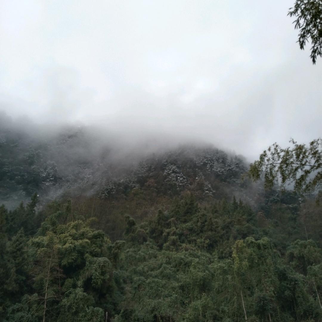 泪未流心先碎◎