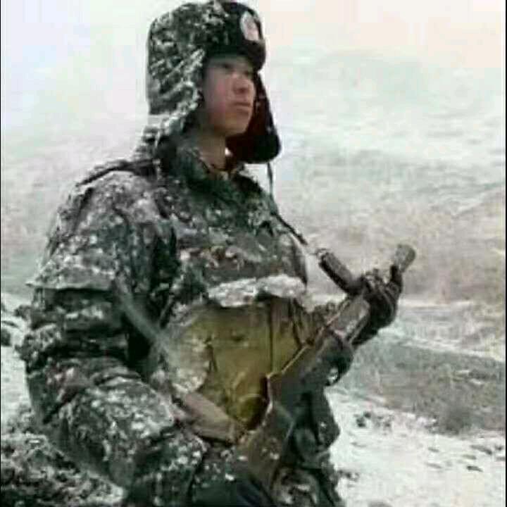 和谐共生