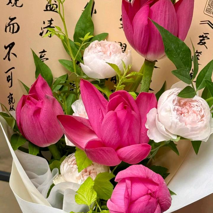 柠萌