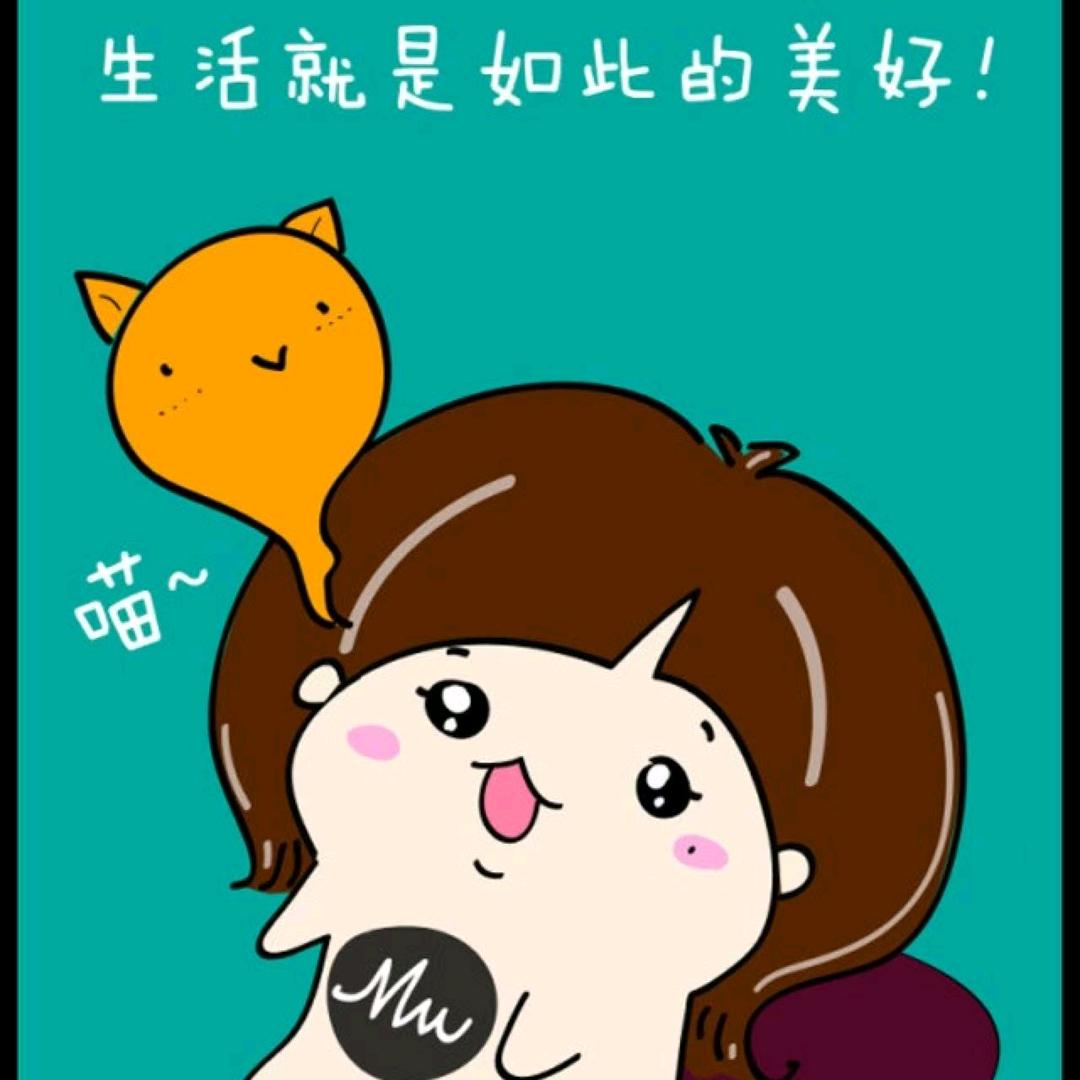 南来北往